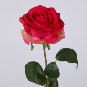 Ver weg Kreet bijwoord Zijden bloemen - Rozen - Kunstrozen - Boeket zijden roze