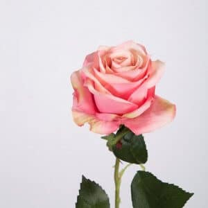 Ver weg Kreet bijwoord Zijden bloemen - Rozen - Kunstrozen - Boeket zijden roze